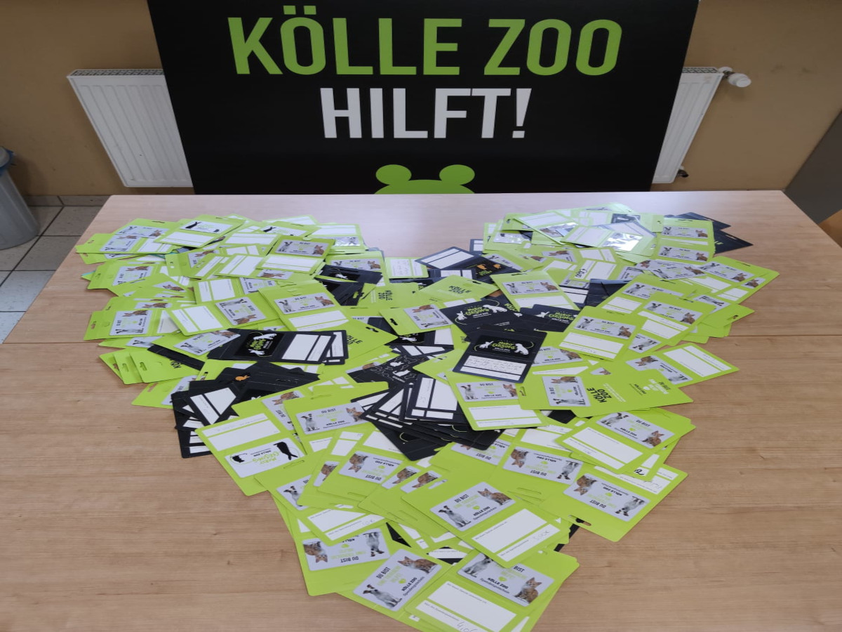 Gutscheine