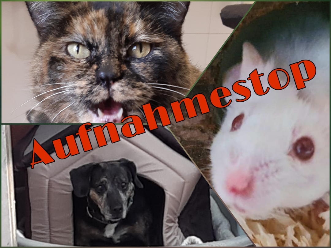 Aufnahmestop alle Tierbereiche