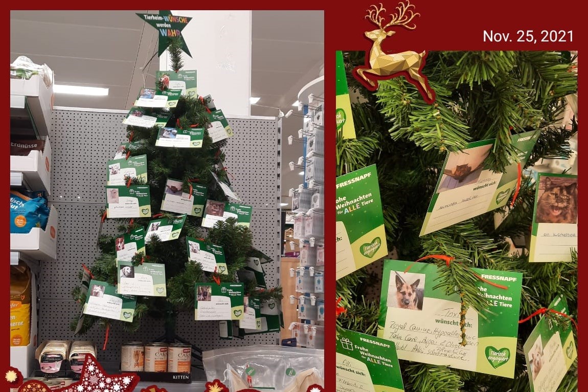 Weihnachtsbild