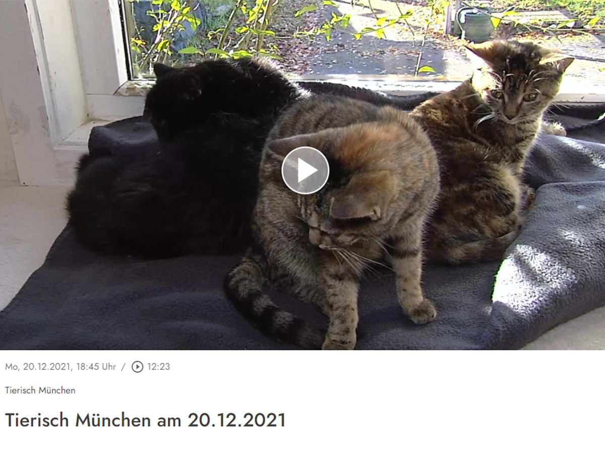 Tierisch-Muenchen-vom-20-12-2021