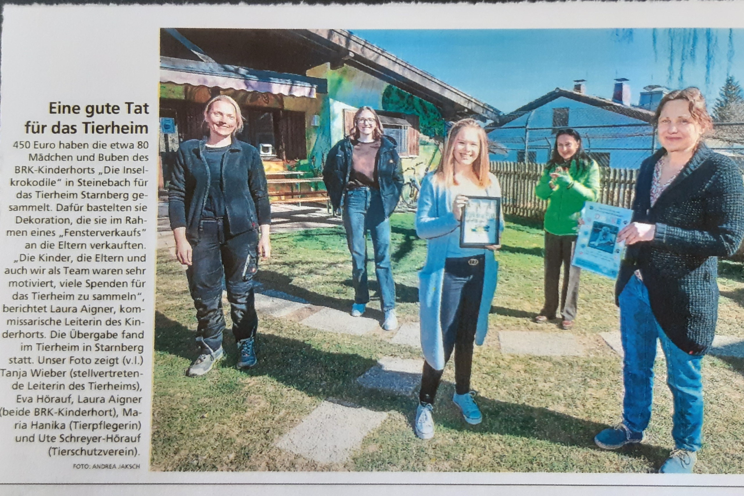 Bild Merkur Wörthsser Inselkrokodile HP