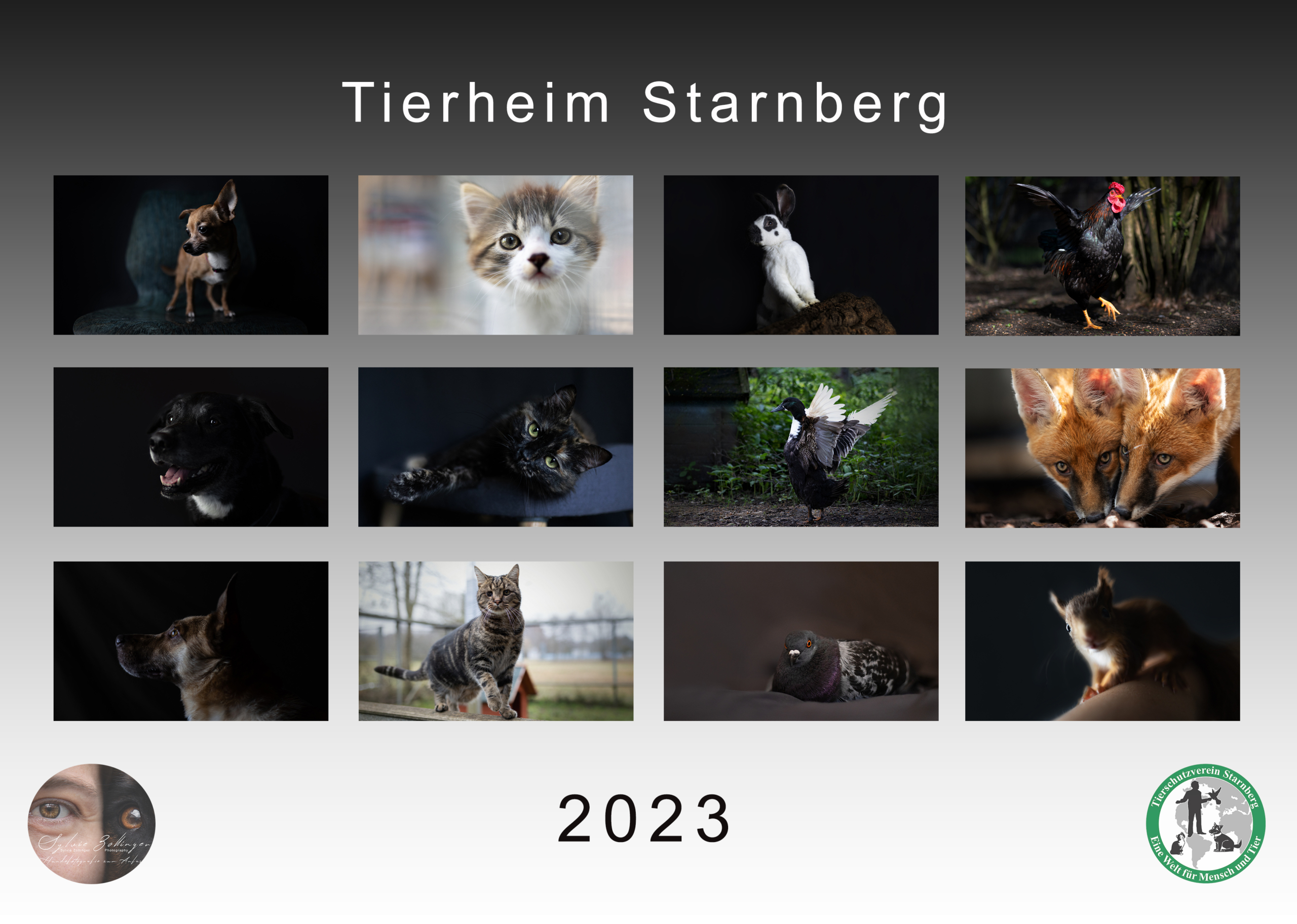Deckblatt Kalender 2023