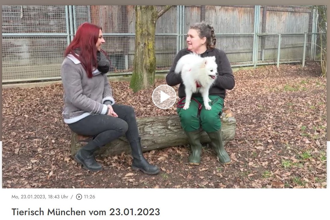 Tierisch München 23.01.23